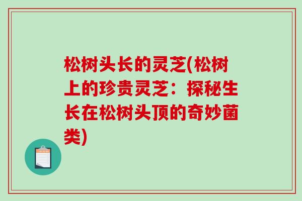 松树头长的灵芝(松树上的珍贵灵芝：探秘生长在松树头顶的奇妙菌类)