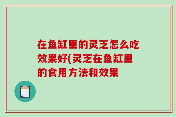 在鱼缸里的灵芝怎么吃效果好(灵芝在鱼缸里的食用方法和效果