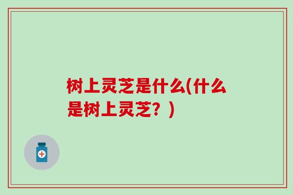 树上灵芝是什么(什么是树上灵芝？)