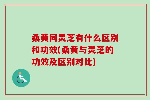 桑黄同灵芝有什么区别和功效(桑黄与灵芝的功效及区别对比)