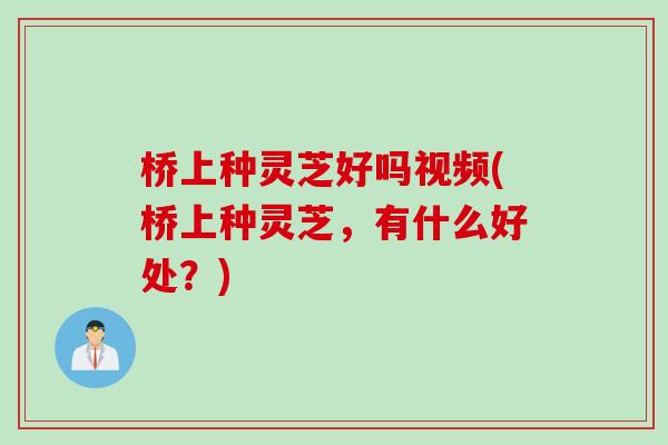 桥上种灵芝好吗视频(桥上种灵芝，有什么好处？)