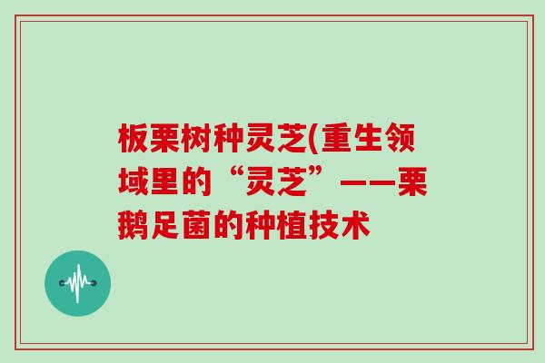 板栗树种灵芝(重生领域里的“灵芝”——栗鹅足菌的种植技术