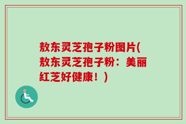 敖东灵芝孢子粉图片(敖东灵芝孢子粉：美丽红芝好健康！)