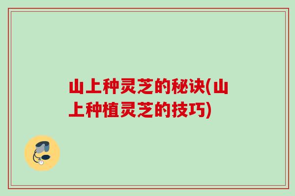 山上种灵芝的秘诀(山上种植灵芝的技巧)