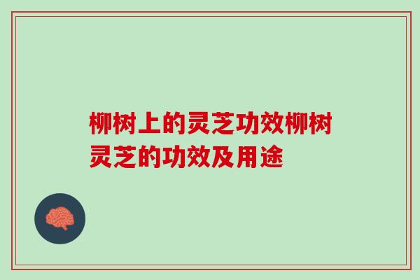柳树上的灵芝功效柳树灵芝的功效及用途