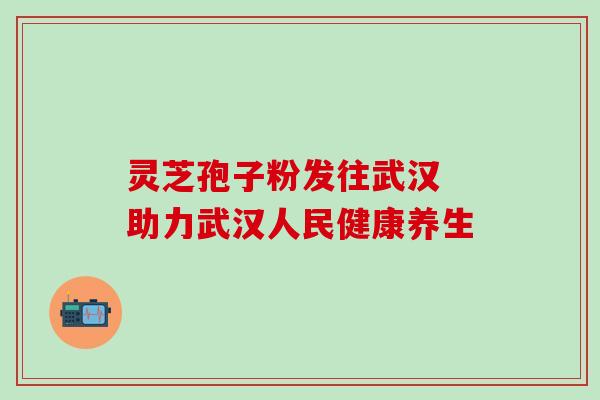 灵芝孢子粉发往武汉 助力武汉人民健康养生