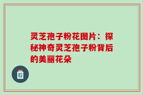 灵芝孢子粉花图片：探秘神奇灵芝孢子粉背后的美丽花朵