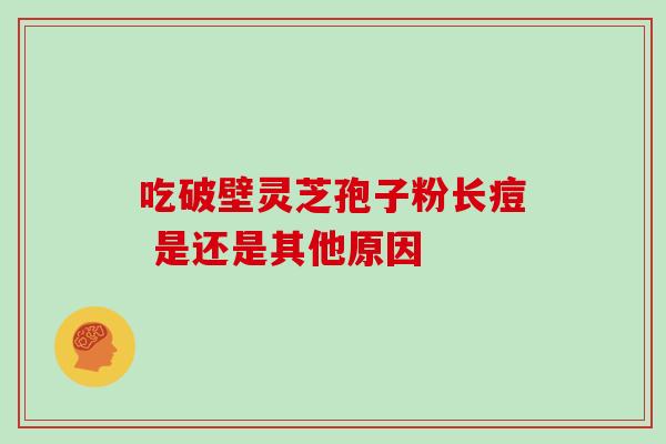 吃破壁灵芝孢子粉长痘 是还是其他原因