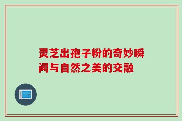 灵芝出孢子粉的奇妙瞬间与自然之美的交融