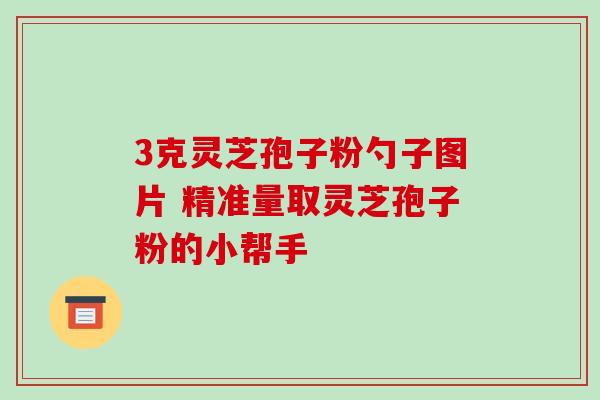 3克灵芝孢子粉勺子图片 精准量取灵芝孢子粉的小帮手 3克灵芝孢子粉勺子图片 精准量取灵芝孢子粉的小帮手