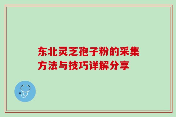 东北灵芝孢子粉的采集方法与技巧详解分享 东北灵芝孢子粉的采集方法与技巧详解分享