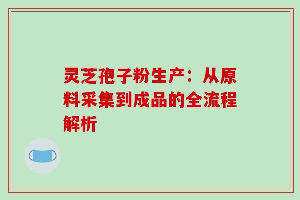 灵芝孢子粉生产：从原料采集到成品的全流程解析