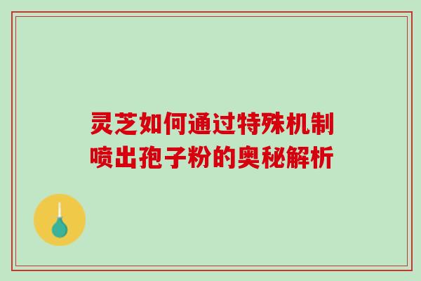 灵芝如何通过特殊机制喷出孢子粉的奥秘解析