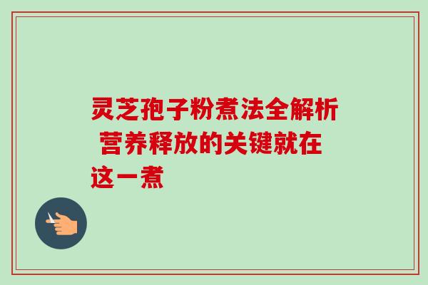 灵芝孢子粉煮法全解析 营养释放的关键就在这一煮