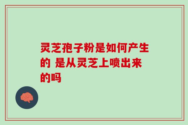 灵芝孢子粉是如何产生的 是从灵芝上喷出来的吗 灵芝孢子粉是如何产生的 是从灵芝上喷出来的吗