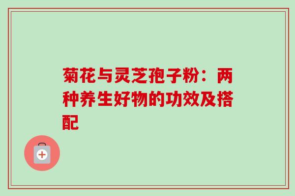 菊花与灵芝孢子粉:两种养生好物的功效及搭配 菊花与灵芝孢子粉:两种养生好物的功效及搭配