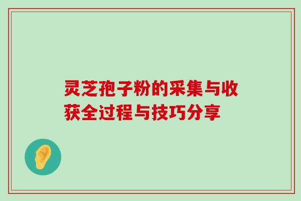 灵芝孢子粉的采集与收获全过程与技巧分享 灵芝孢子粉的采集与收获全过程与技巧分享