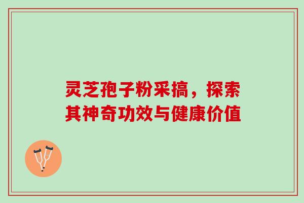 灵芝孢子粉采搞,探索其神奇功效与健康价值 灵芝孢子粉采搞,探索其神奇功效与健康价值