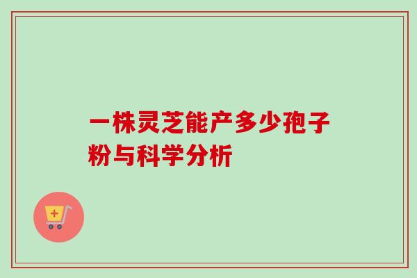 一株灵芝能产多少孢子粉与科学分析 一株灵芝能产多少孢子粉与科学分析