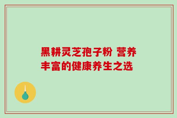 黑耕灵芝孢子粉 营养丰富的健康养生之选 黑耕灵芝孢子粉 营养丰富的健康养生之选