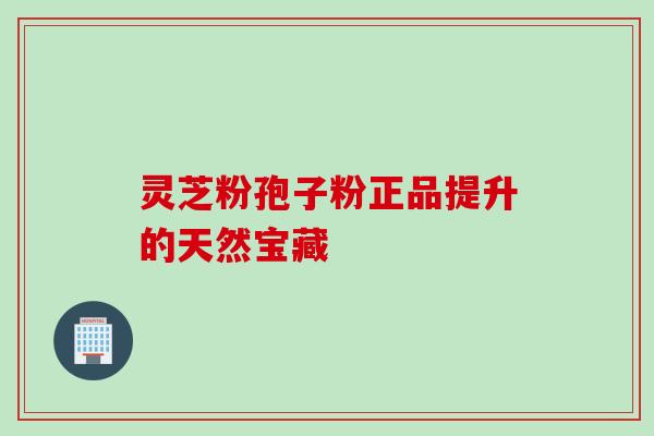 灵芝粉孢子粉正品提升的天然宝藏 灵芝粉孢子粉正品提升的天然宝藏