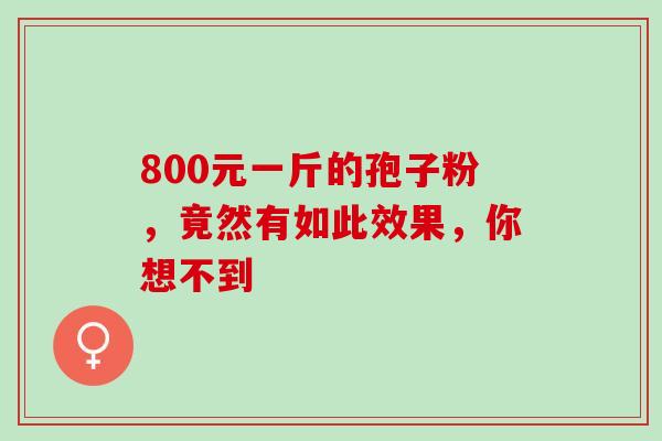 800元一斤的孢子粉,竟然有如此效果,你想不到 800元一斤的孢子粉,竟然有如此效果,你想不到