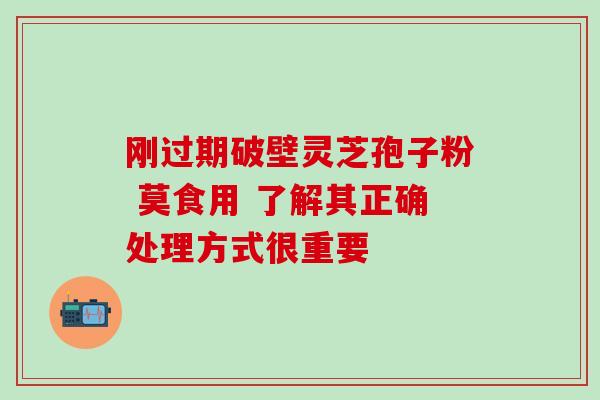 刚过期破壁灵芝孢子粉 莫食用 了解其正确处理方式很重要 刚过期破壁灵芝孢子粉 莫食用 了解其正确处理方式很重要