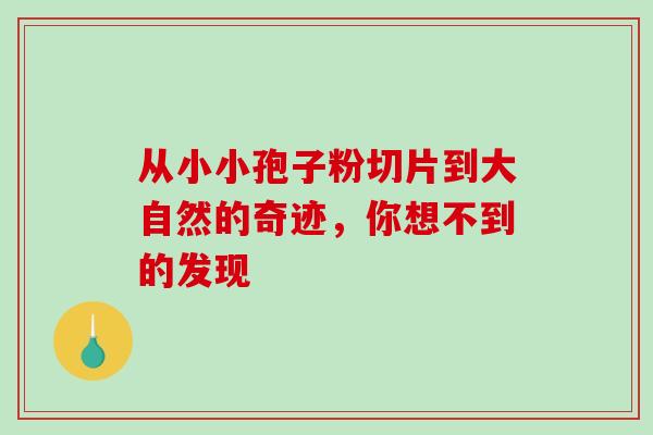 从小小孢子粉切片到大自然的奇迹,你想不到的发现 从小小孢子粉切片到大自然的奇迹,你想不到的发现