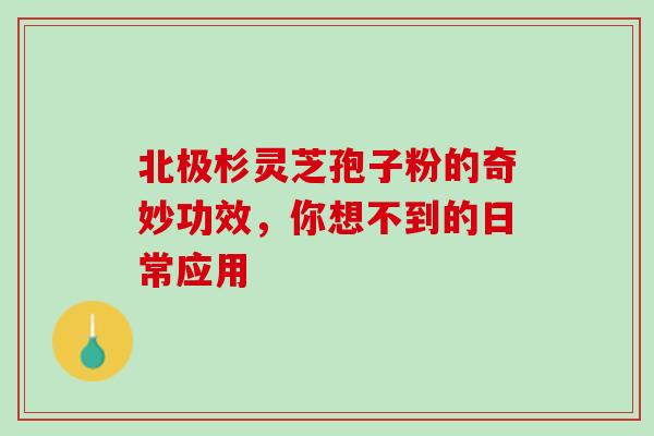 北极杉灵芝孢子粉的奇妙功效,你想不到的日常应用 北极杉灵芝孢子粉的奇妙功效,你想不到的日常应用