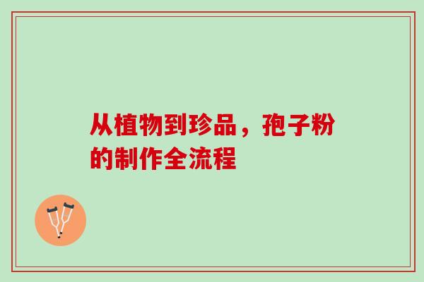 从植物到珍品,孢子粉的制作全流程 从植物到珍品,孢子粉的制作全流程