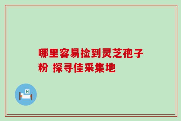 哪里容易捡到灵芝孢子粉 探寻佳采集地 哪里容易捡到灵芝孢子粉 探寻佳采集地