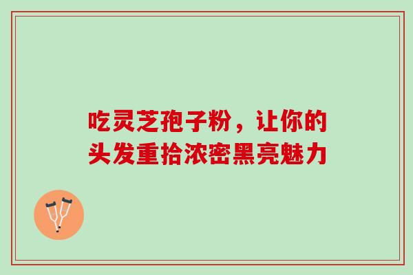 吃灵芝孢子粉,让你的头发重拾浓密黑亮魅力 吃灵芝孢子粉,让你的头发重拾浓密黑亮魅力