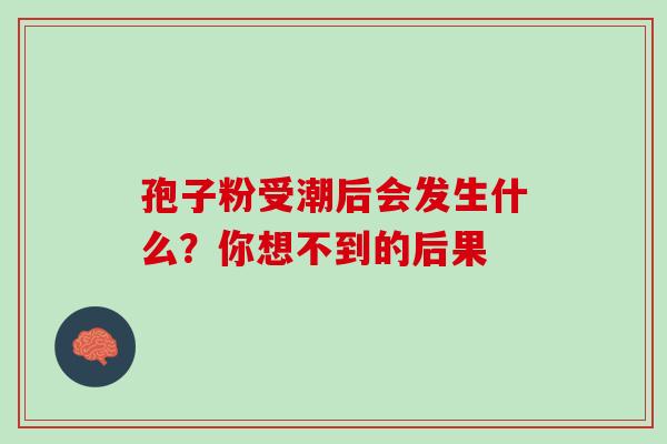 孢子粉受潮后会发生什么？你想不到的后果