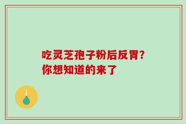 吃灵芝孢子粉后反胃？你想知道的来了