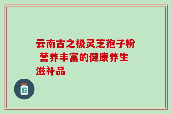 云南古之极灵芝孢子粉 营养丰富的健康养生滋补品 云南古之极灵芝孢子粉 营养丰富的健康养生滋补品