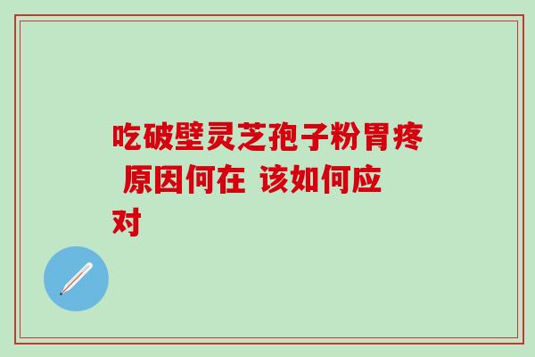 吃破壁灵芝孢子粉胃疼 原因何在 该如何应对 吃破壁灵芝孢子粉胃疼 原因何在 该如何应对