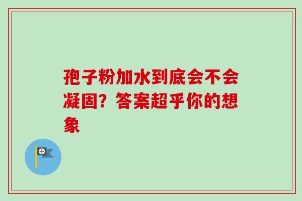孢子粉加水到底会不会凝固?答案超乎你的想象 孢子粉加水到底会不会凝固?答案超乎你的想象