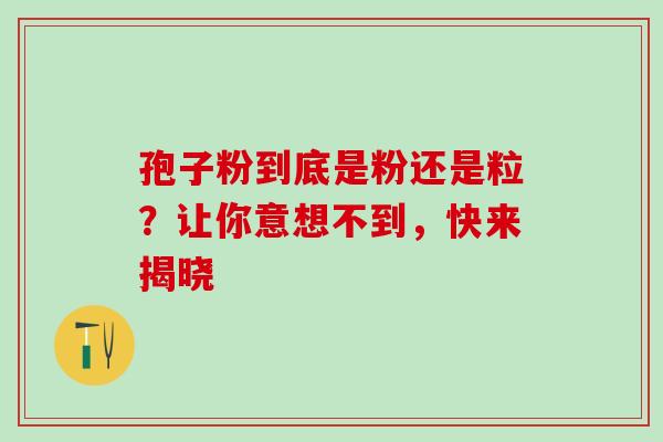 孢子粉到底是粉还是粒?让你意想不到,快来揭晓 孢子粉到底是粉还是粒?让你意想不到,快来揭晓