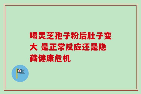 喝灵芝孢子粉后肚子变大 是正常反应还是隐藏健康危机