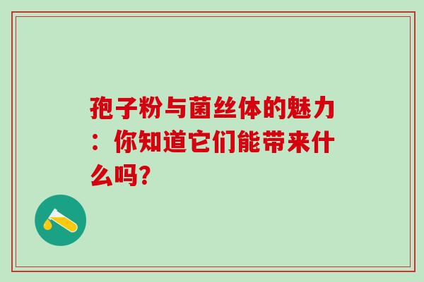 孢子粉与菌丝体的魅力:你知道它们能带来什么吗? 孢子粉与菌丝体的魅力:你知道它们能带来什么吗?