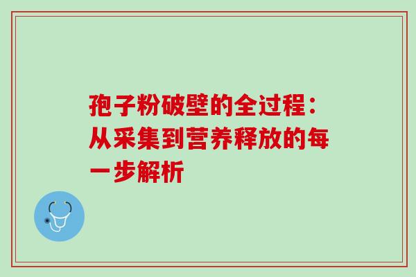 孢子粉破壁的全过程:从采集到营养释放的每一步解析 孢子粉破壁的全过程:从采集到营养释放的每一步解析