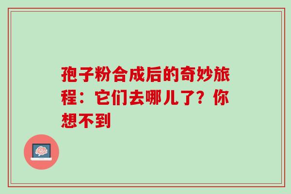 孢子粉合成后的奇妙旅程:它们去哪儿了?你想不到 孢子粉合成后的奇妙旅程:它们去哪儿了?你想不到
