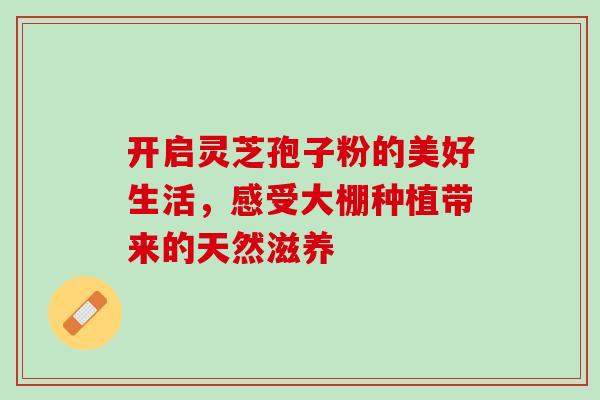 开启灵芝孢子粉的美好生活，感受大棚种植带来的天然滋养