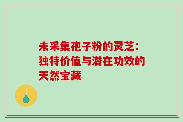 未采集孢子粉的灵芝：独特价值与潜在功效的天然宝藏