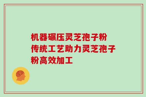 机器碾压灵芝孢子粉 传统工艺助力灵芝孢子粉高效加工 机器碾压灵芝孢子粉 传统工艺助力灵芝孢子粉高效加工